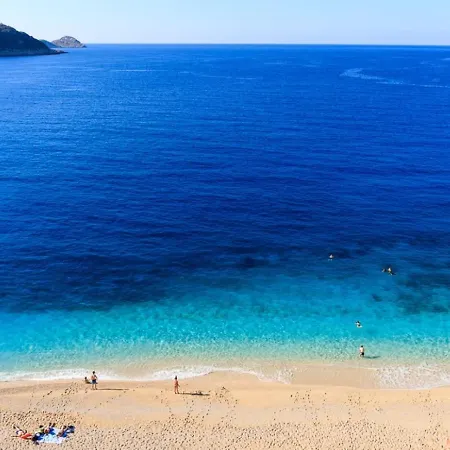 Korsan Kalkan