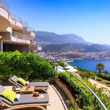 Korsan * Kalkan